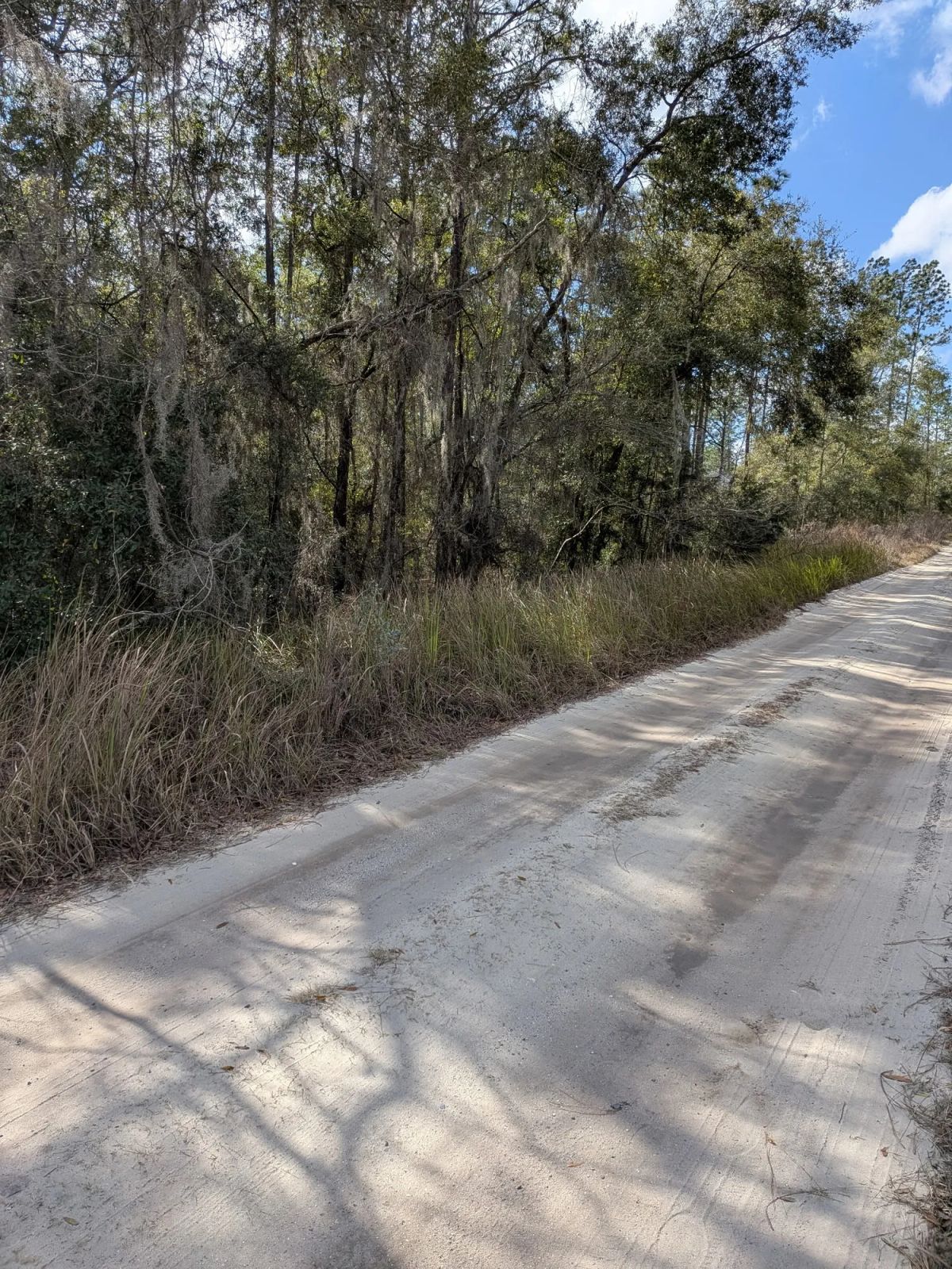Vacant Residential Lot in Ocala, FL with Adjoining Corner Lot - Image 2