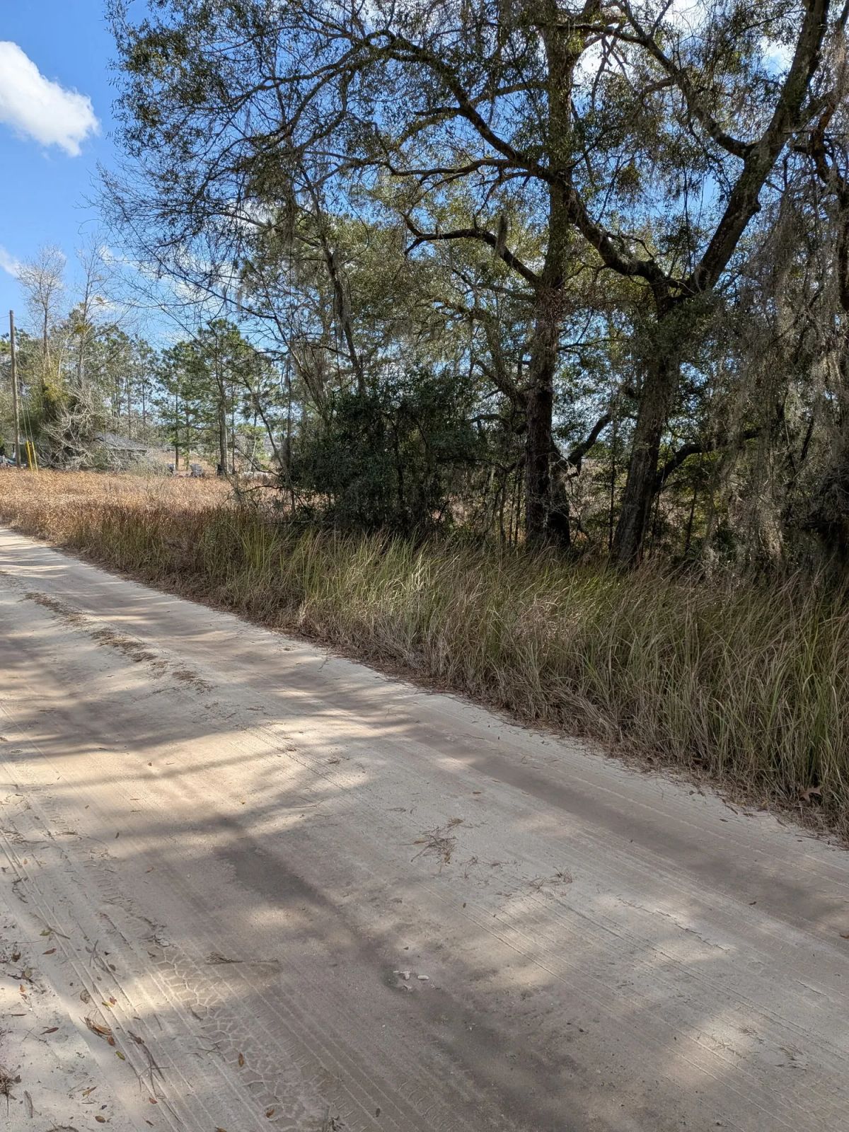 Vacant Residential Lot in Ocala, FL with Adjoining Corner Lot - Image 3