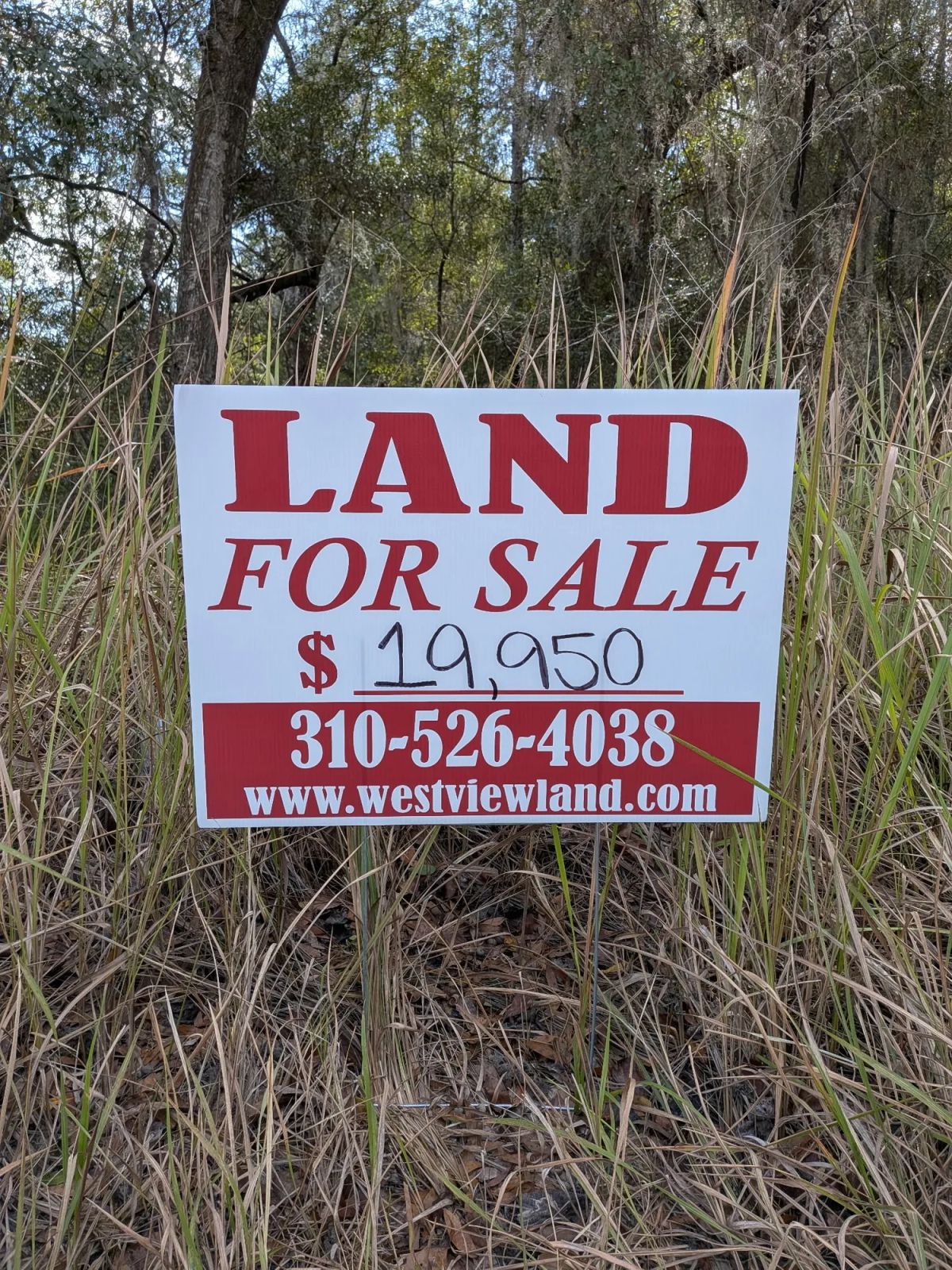 Vacant Residential Lot in Ocala, FL with Adjoining Corner Lot - Image 4