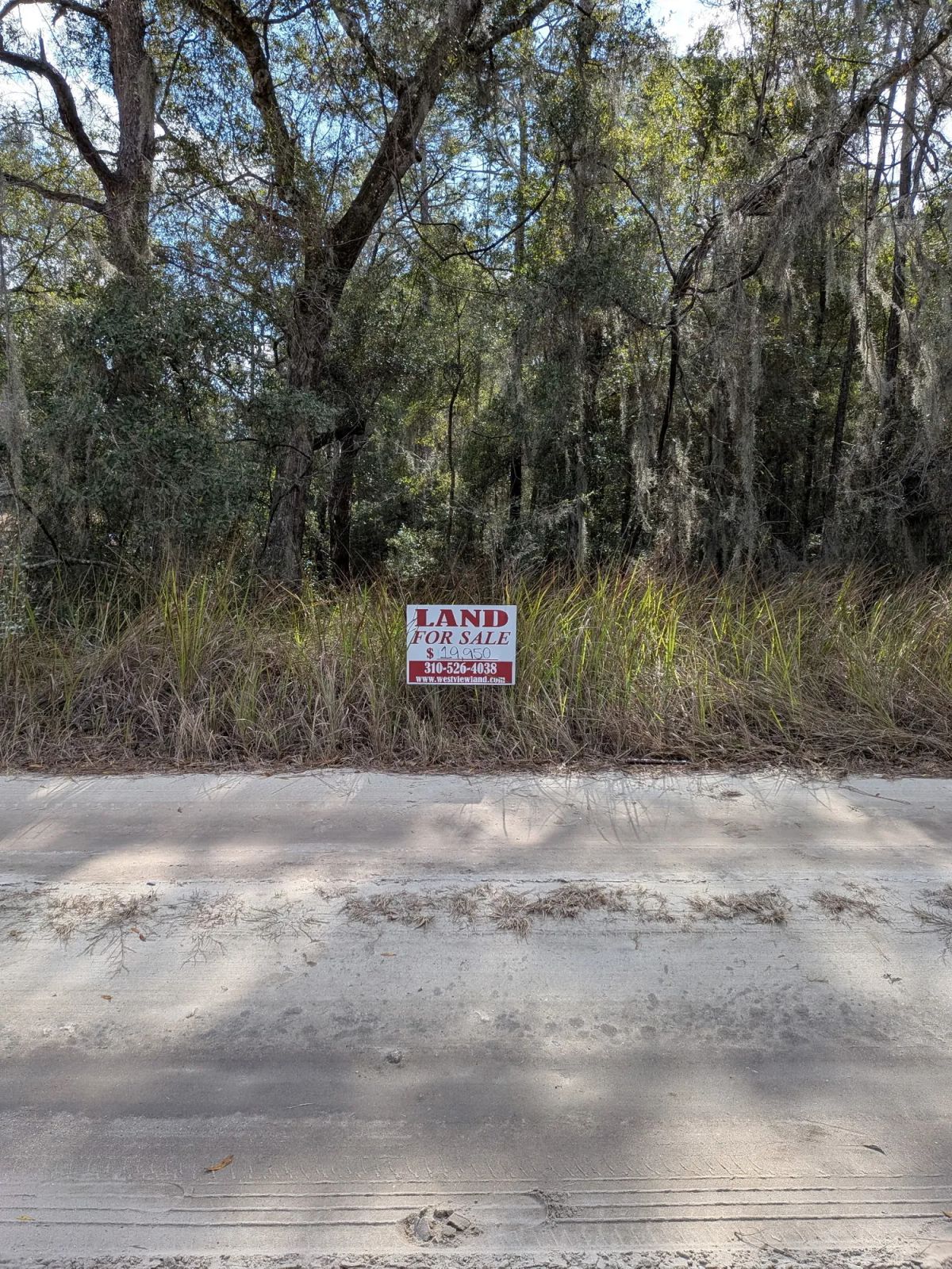 Decorative background for Vacant Residential Lot in Ocala, FL with Adjoining Corner Lot image 5