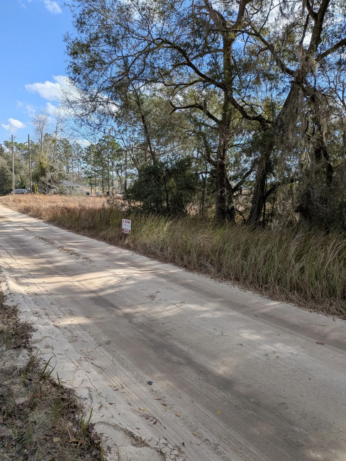 Decorative background for Vacant Residential Lot in Ocala, FL with Adjoining Corner Lot image 6