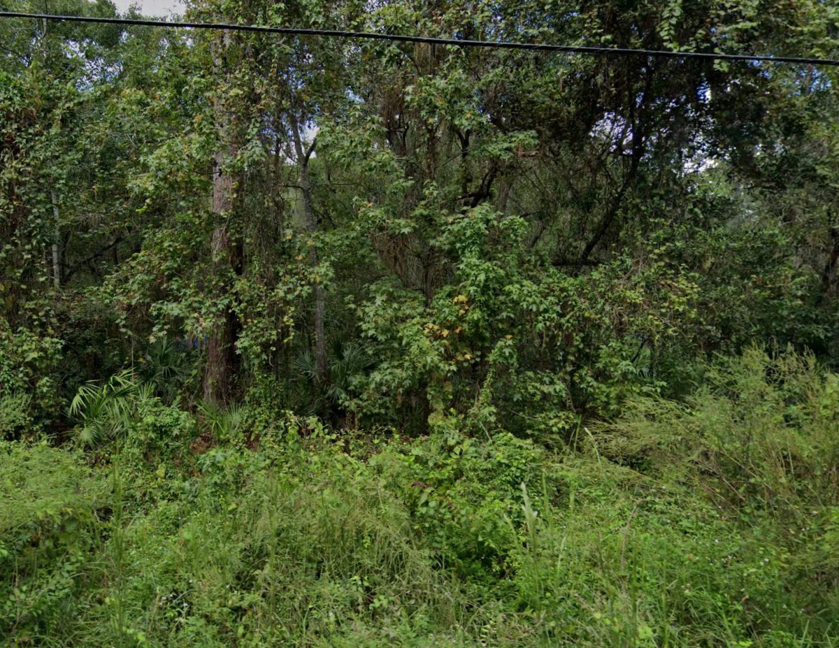 Double Parcel in New Port Ritchey, FL - Main image