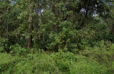 Double Parcel in New Port Ritchey, FL