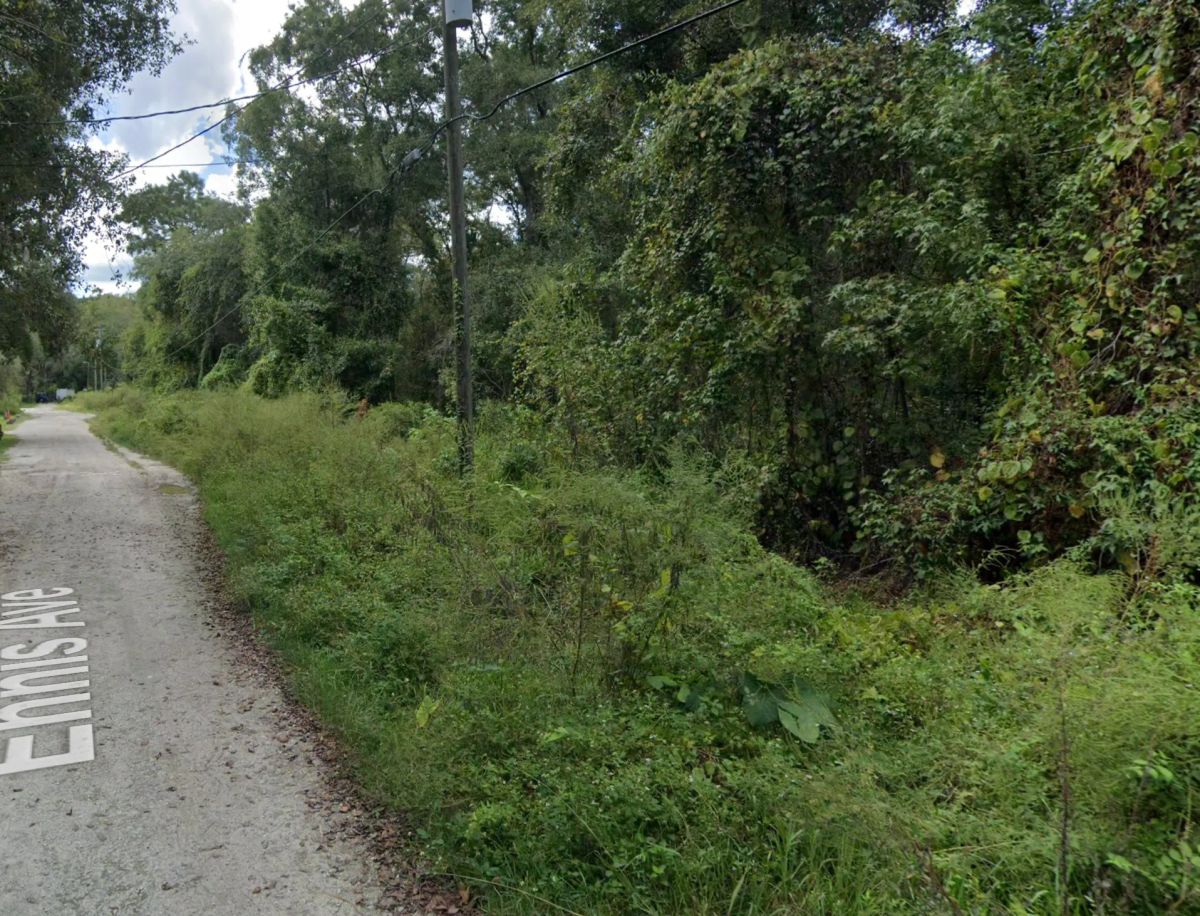 Double Parcel in New Port Ritchey, FL - Image 2