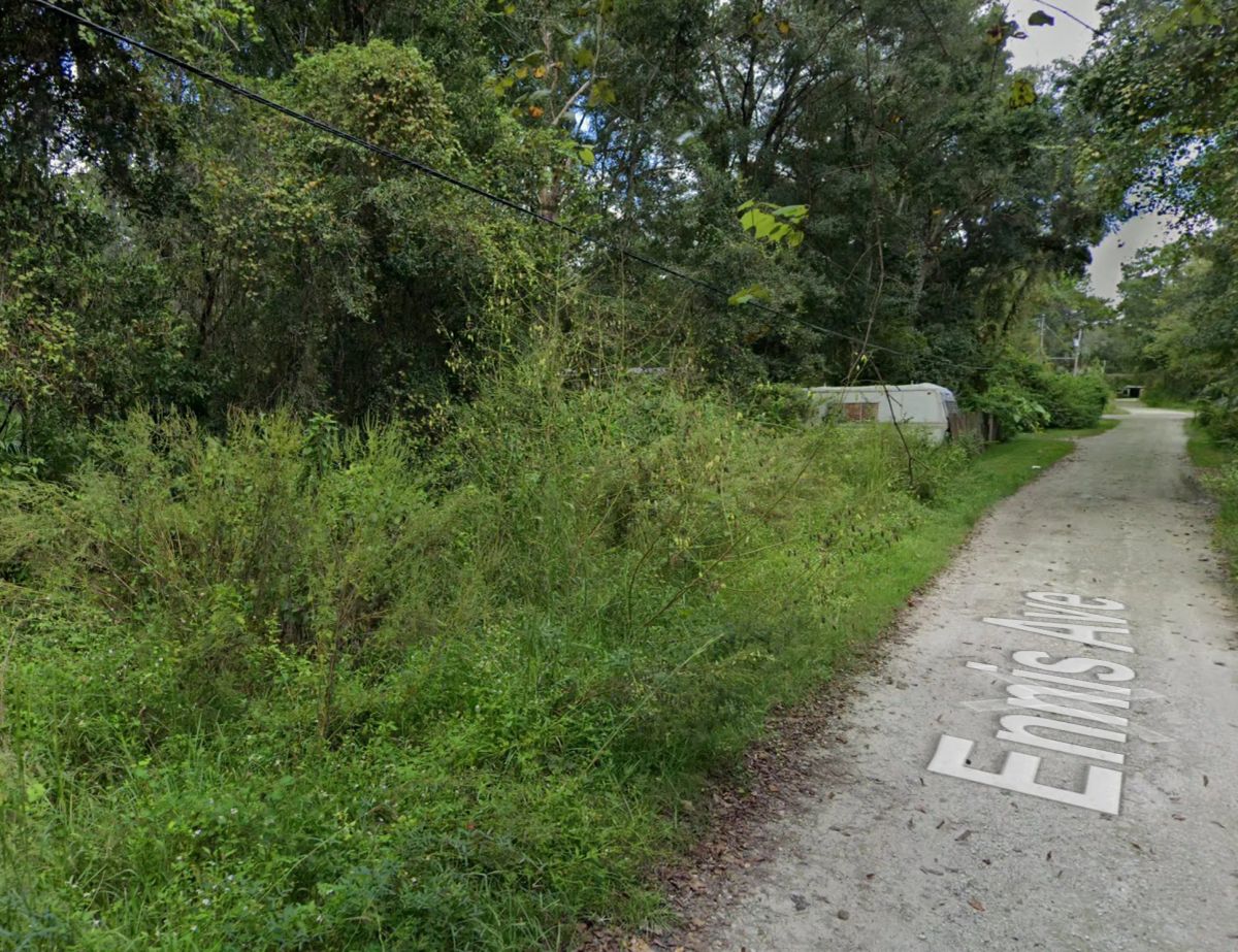 Double Parcel in New Port Ritchey, FL - Image 3