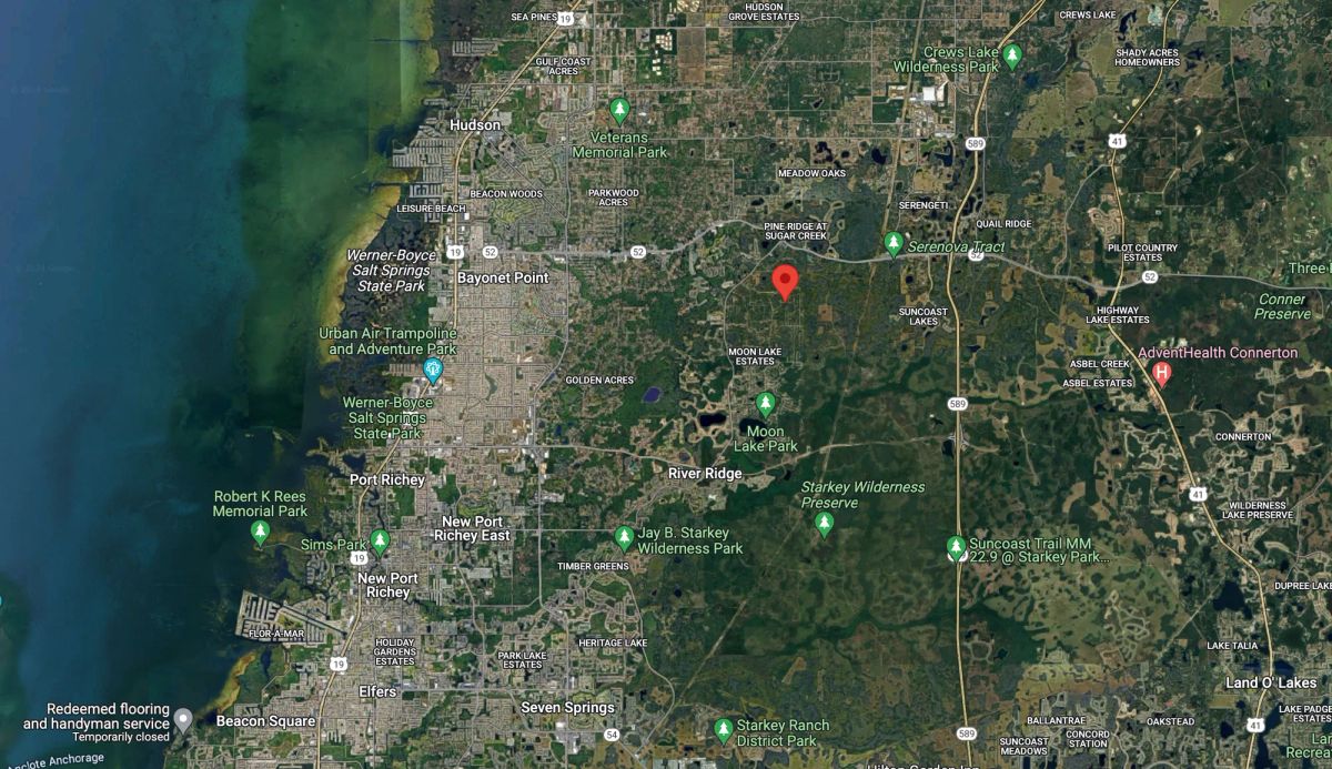 Double Parcel in New Port Ritchey, FL - Image 4