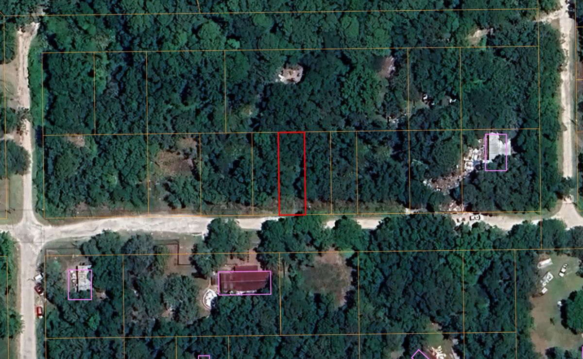Decorative background for Double Parcel in New Port Ritchey, FL image 5