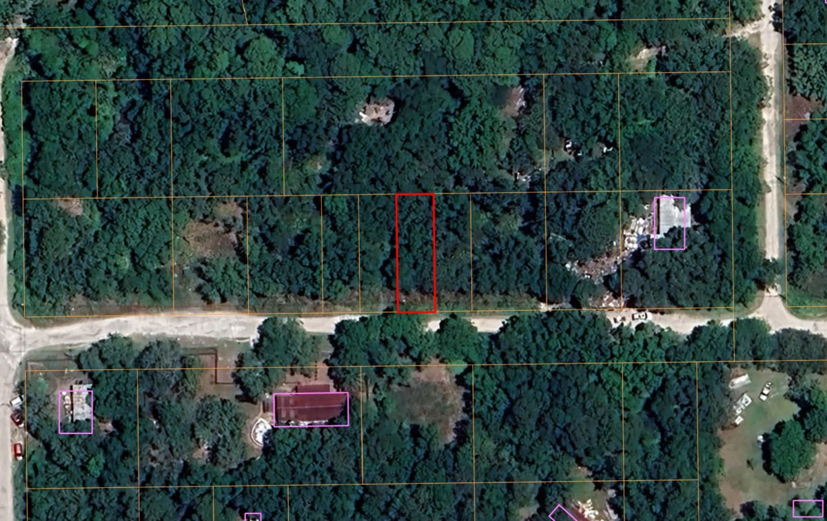 Decorative background for Double Parcel in New Port Ritchey, FL image 6