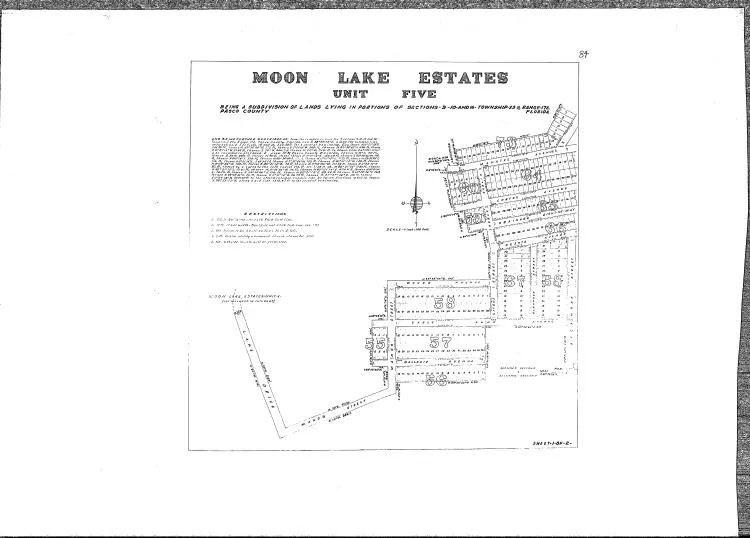 Decorative background for Double Parcel in New Port Ritchey, FL image 7