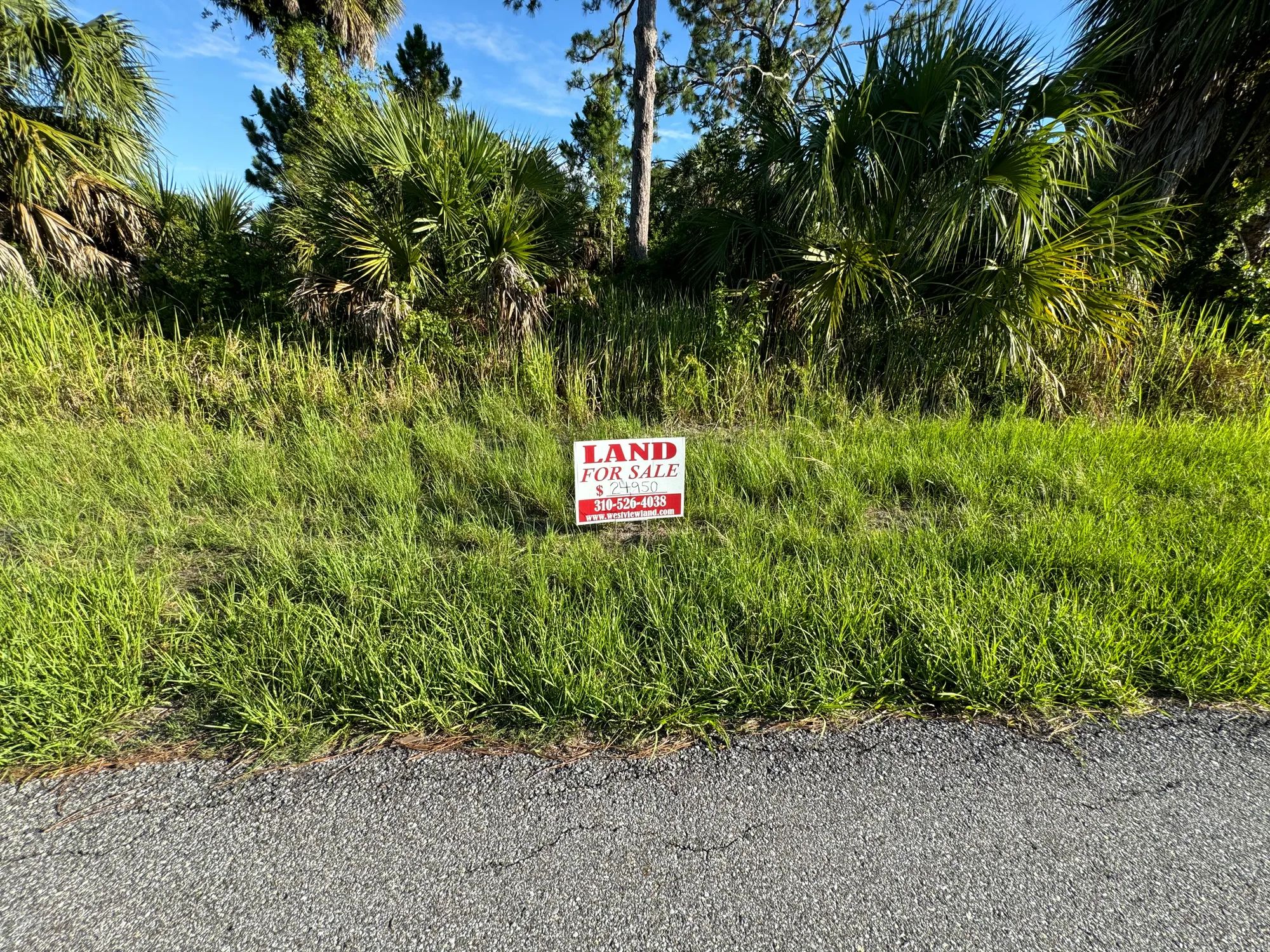 Undeveloped Residential Property in Port Charlotte