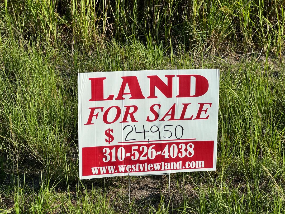 Undeveloped Residential Property in Port Charlotte - Image 2