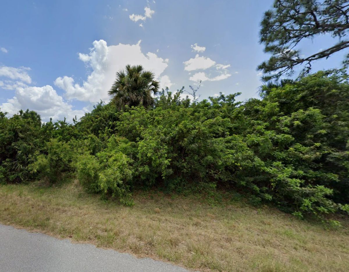 Decorative background for Undeveloped Residential Property in Port Charlotte image 5