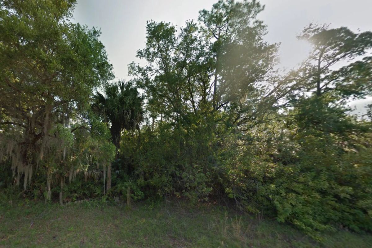Undeveloped Residential Lot in North Port, FL - Image 2