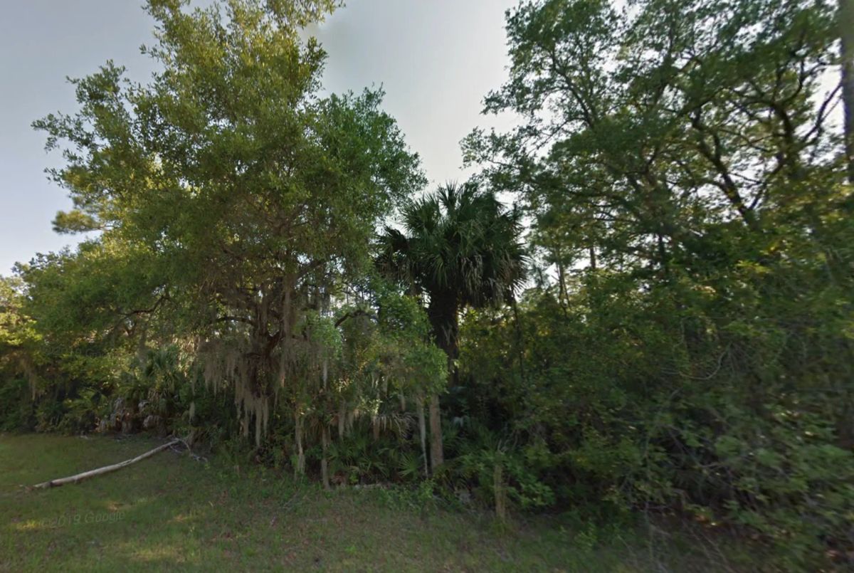 Undeveloped Residential Lot in North Port, FL - Image 3