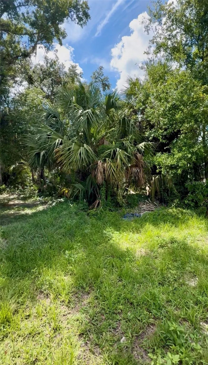 Commercial Land for Sale in Plant City, FL