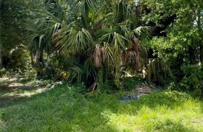 Commercial Land for Sale in Plant City, FL