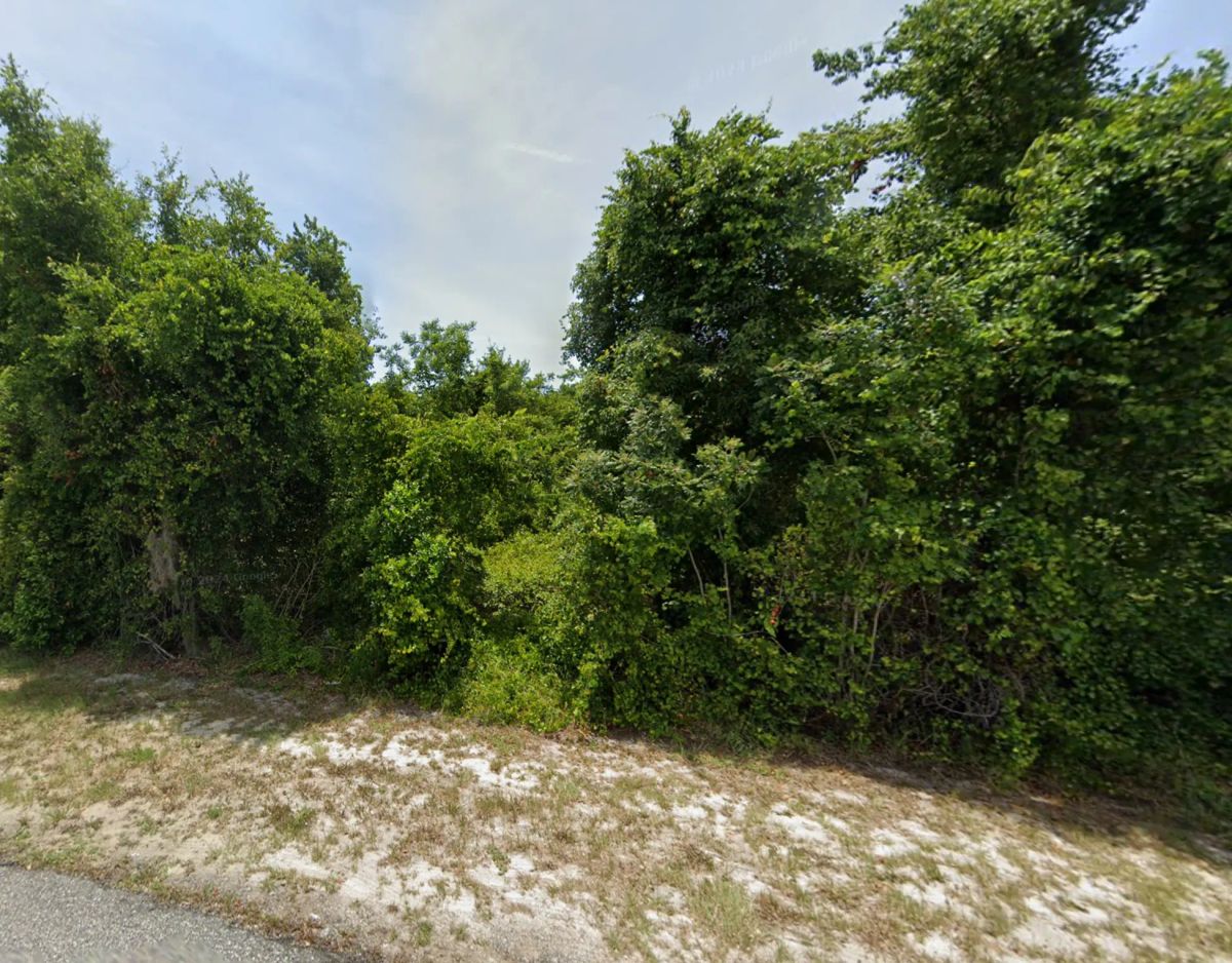 Triangular Lot in Residential Deltona - Main image