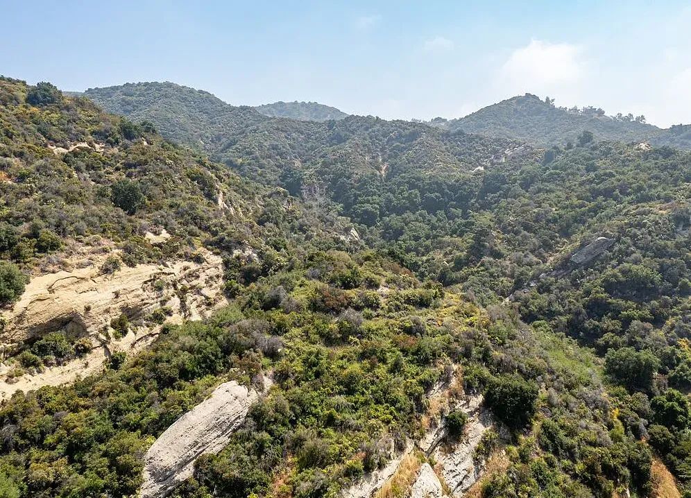 Amazing opportunity to build your dream home on 16.5 acres! - Main image