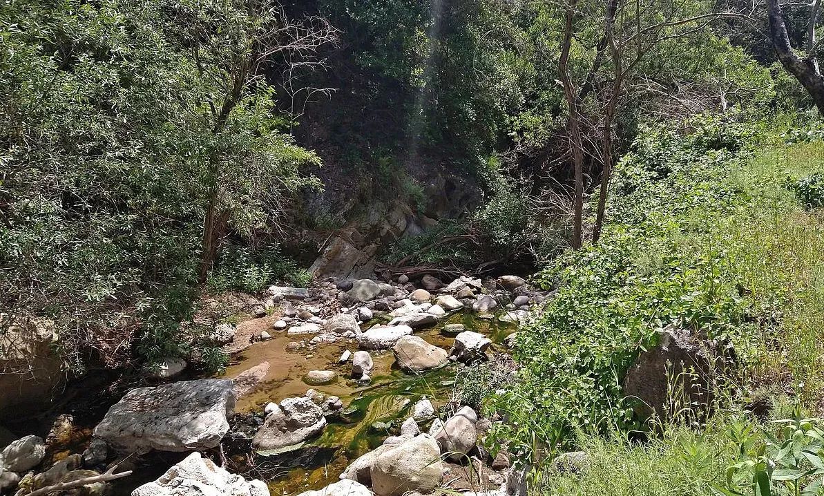 Decorative background for Amazing opportunity to build your dream home on 16.5 acres! image 5