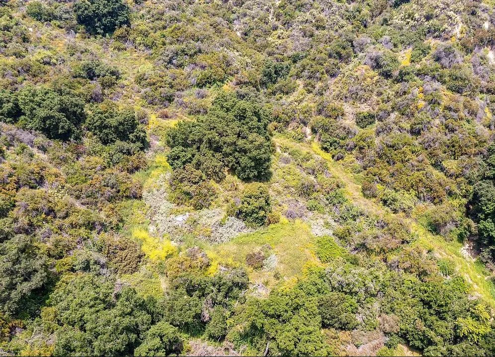 Decorative background for Amazing opportunity to build your dream home on 16.5 acres! image 9