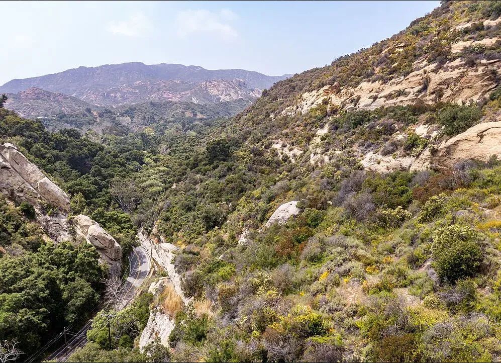 Decorative background for Amazing opportunity to build your dream home on 16.5 acres! image 10