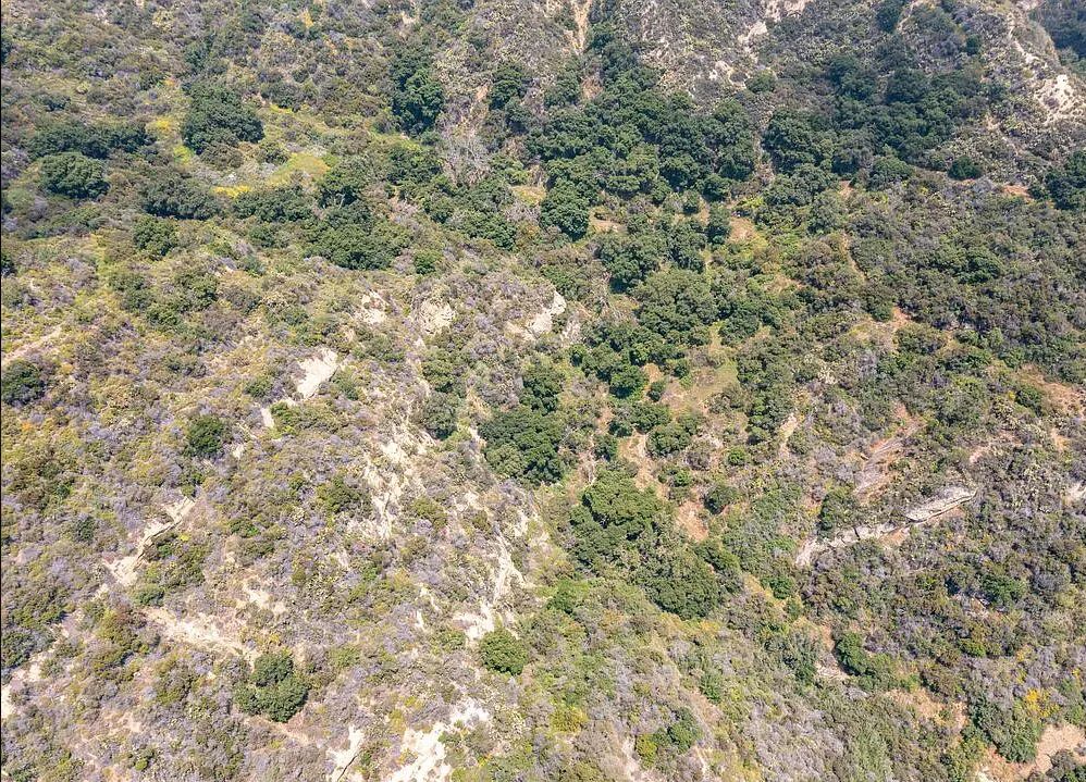 Decorative background for Amazing opportunity to build your dream home on 16.5 acres! image 11