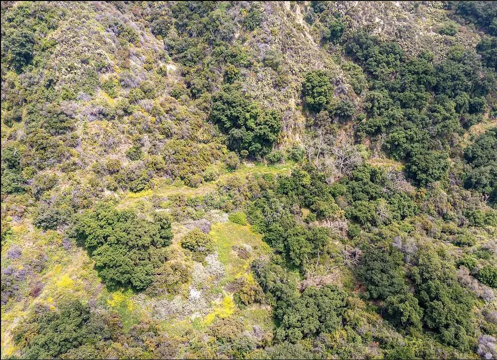 Decorative background for Amazing opportunity to build your dream home on 16.5 acres! image 12