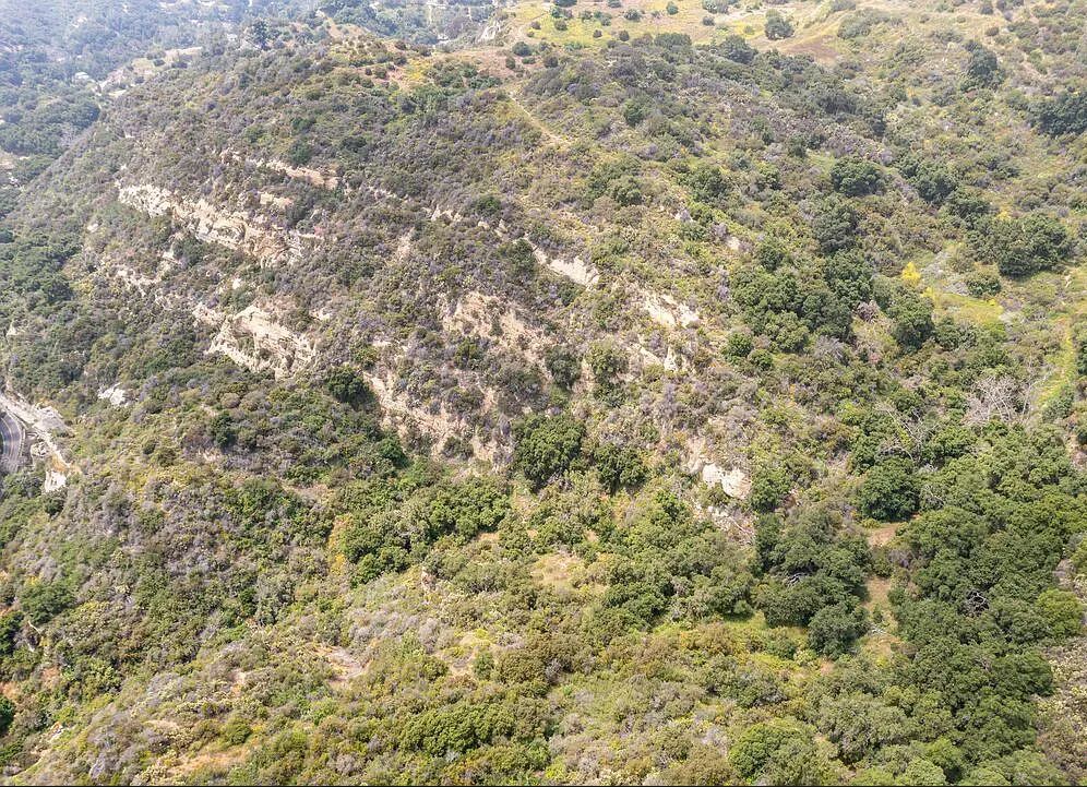 Decorative background for Amazing opportunity to build your dream home on 16.5 acres! image 14