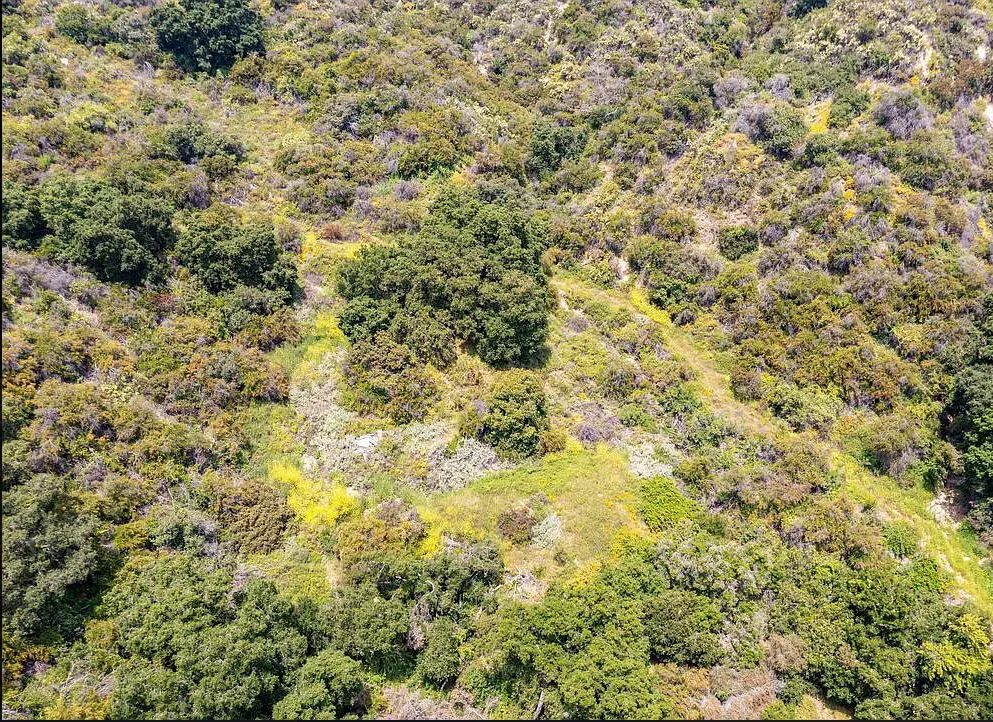 Decorative background for Amazing opportunity to build your dream home on 16.5 acres! image 18