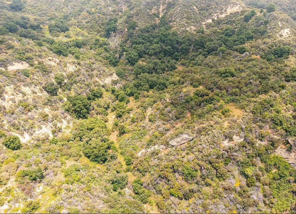 Decorative background for Amazing opportunity to build your dream home on 16.5 acres! image 20