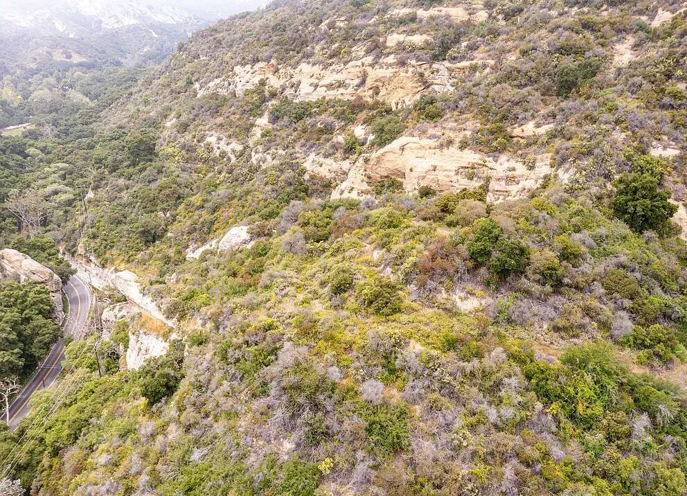 Decorative background for Amazing opportunity to build your dream home on 16.5 acres! image 21