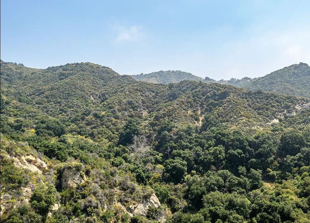 Decorative background for Amazing opportunity to build your dream home on 16.5 acres! image 23
