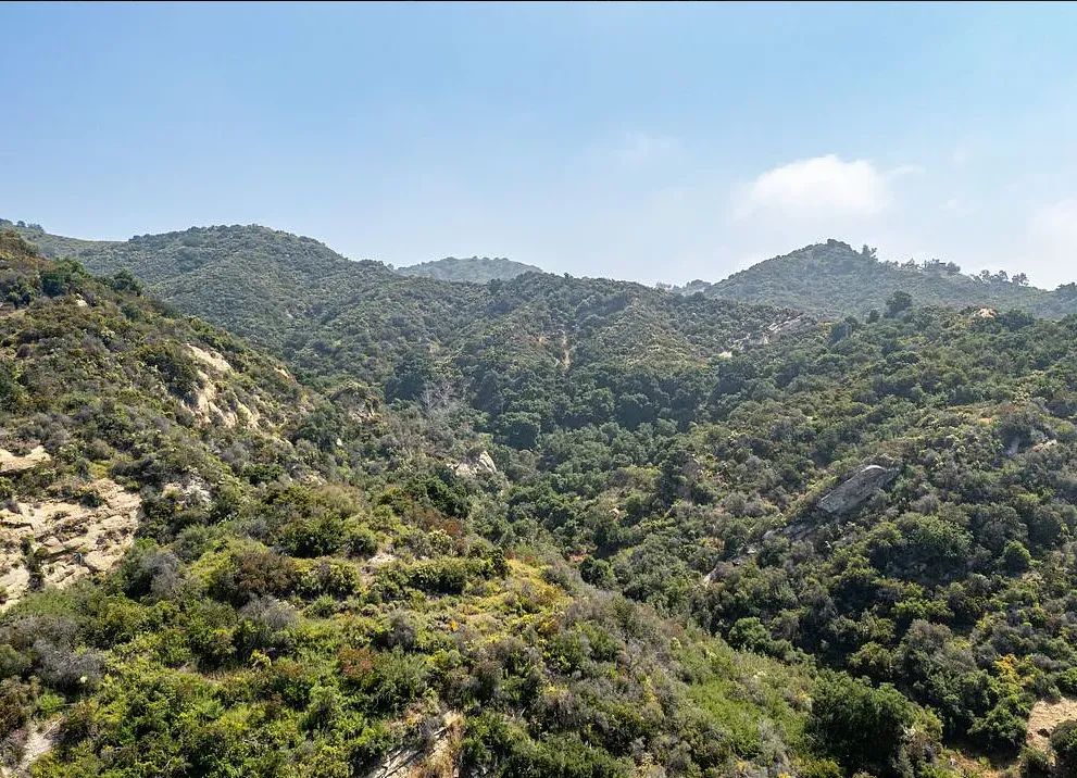 Decorative background for Amazing opportunity to build your dream home on 16.5 acres! image 25