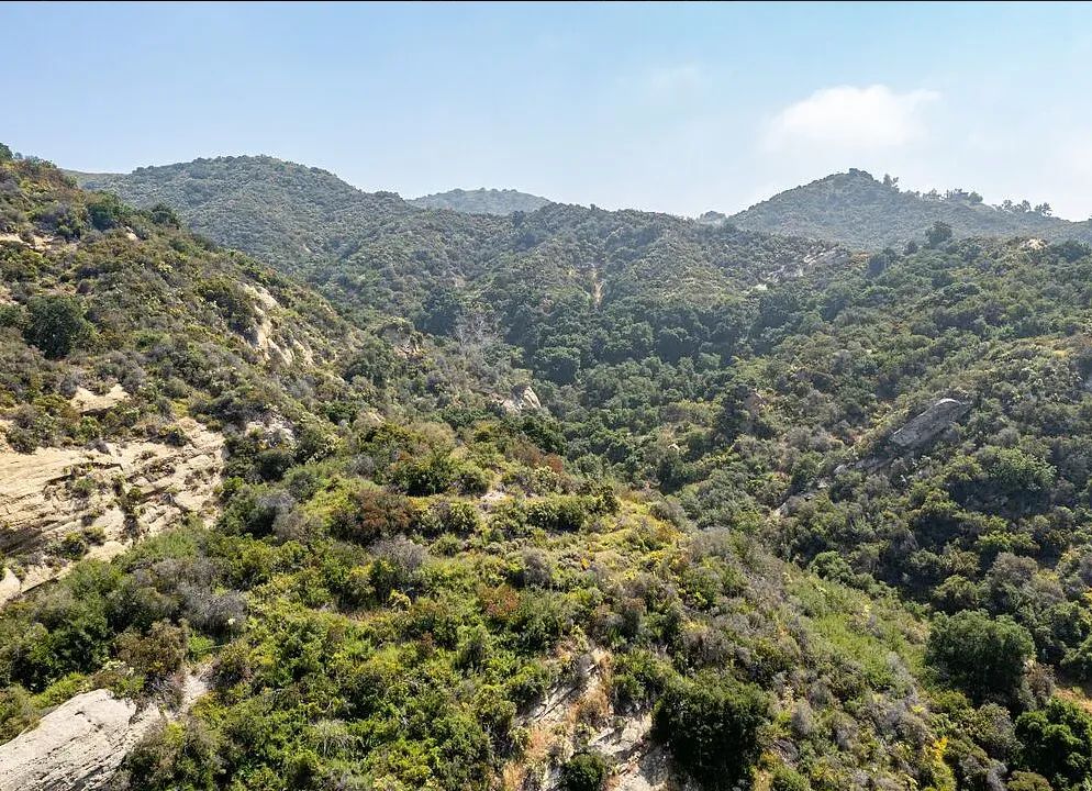 Decorative background for Amazing opportunity to build your dream home on 16.5 acres! image 26