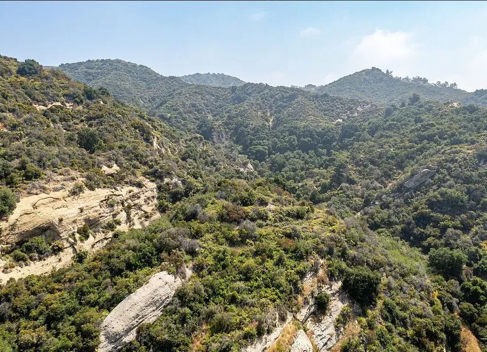 Decorative background for Amazing opportunity to build your dream home on 16.5 acres! image 27