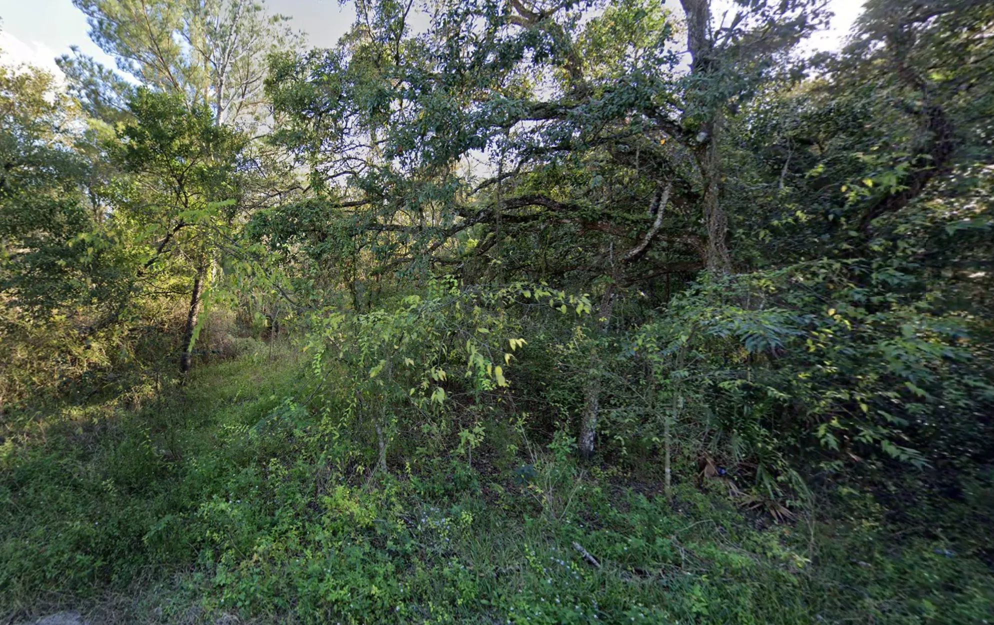 Vacant, Level Lot for Sale in Residential Hernando County