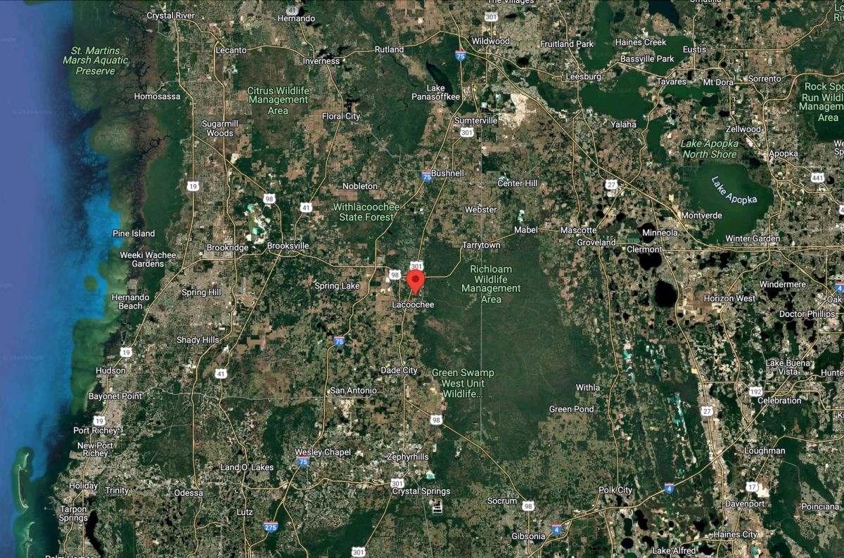Vacant, Level Lot for Sale in Residential Hernando County - Image 2