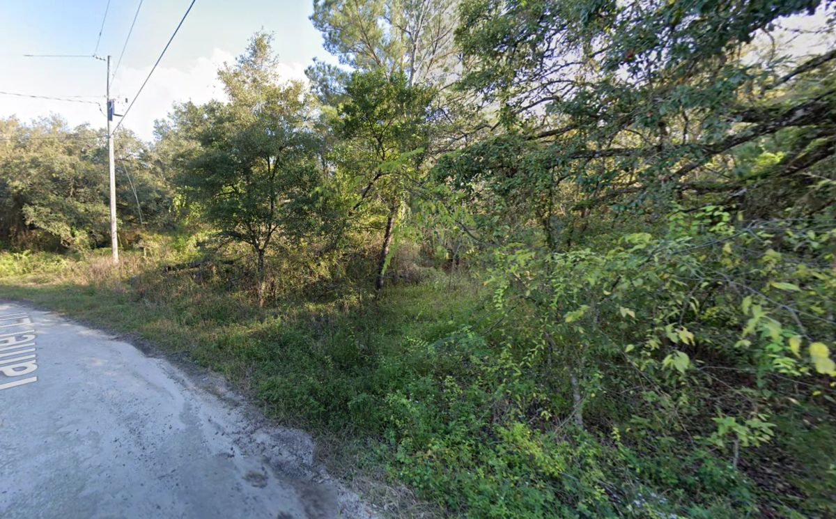 Vacant, Level Lot for Sale in Residential Hernando County - Image 3