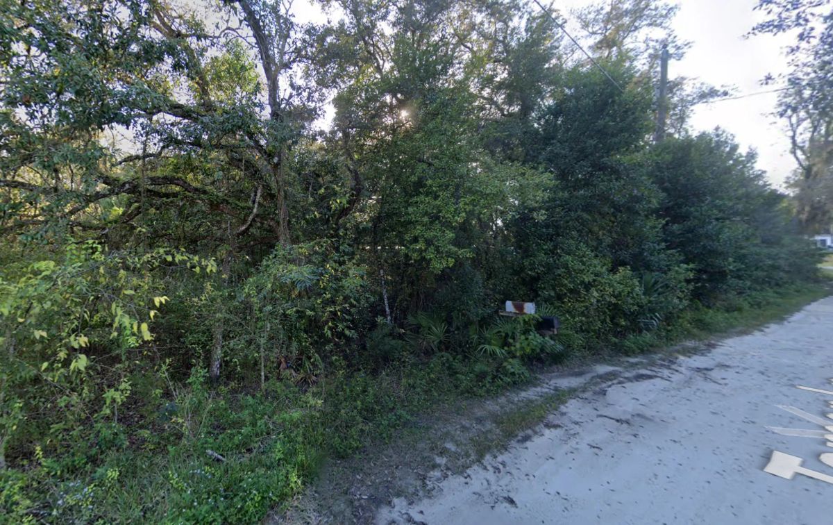 Vacant, Level Lot for Sale in Residential Hernando County - Image 4