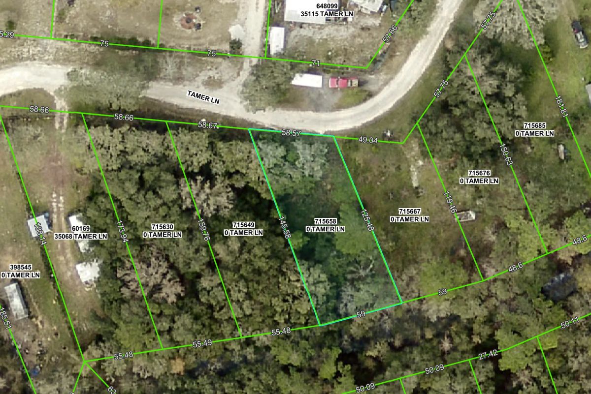 Decorative background for Vacant, Level Lot for Sale in Residential Hernando County image 6