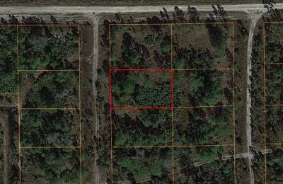 Residential Property in Undeveloped Lee County, FL