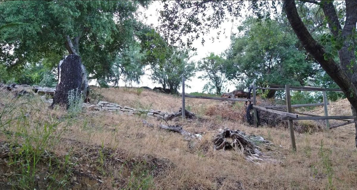 Decorative background for .17 Acres For Sale In Topanga, CA image 9