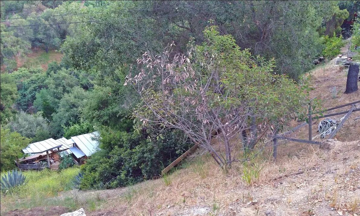 Decorative background for .17 Acres For Sale In Topanga, CA image 12