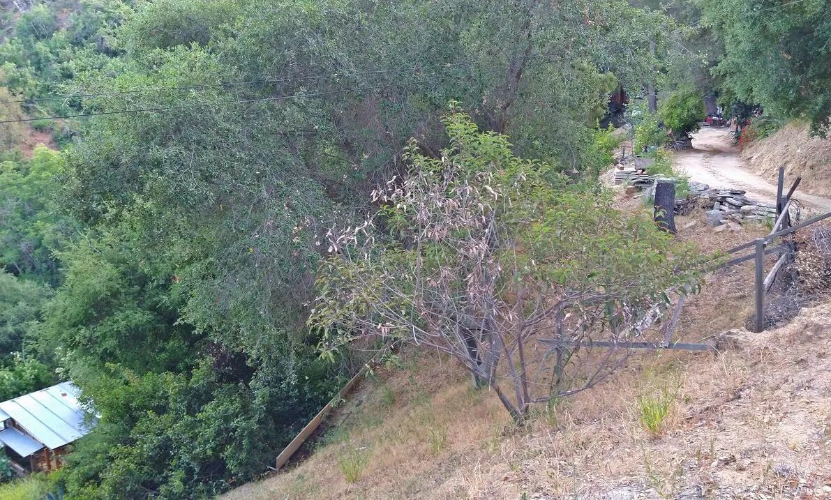 Decorative background for .17 Acres For Sale In Topanga, CA image 13