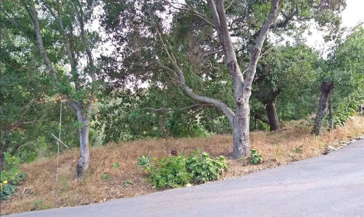 Decorative background for .17 Acres For Sale In Topanga, CA image 17