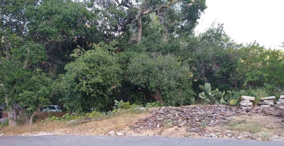 Decorative background for .17 Acres For Sale In Topanga, CA image 18