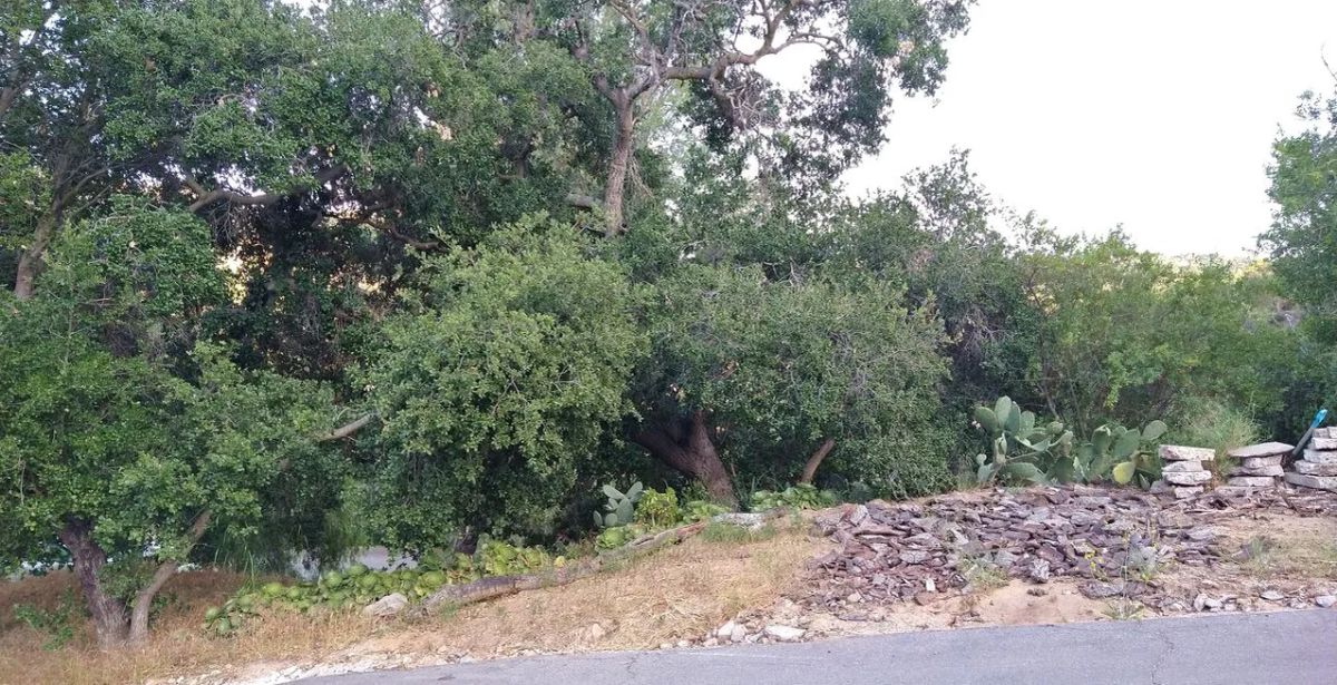 Decorative background for .17 Acres For Sale In Topanga, CA image 19