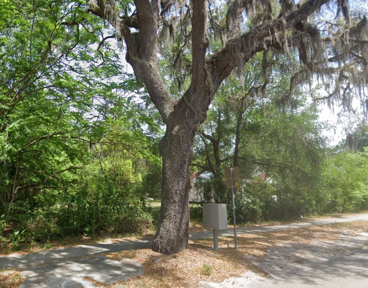 Residential, Undeveloped Lot in Deland, FL - Image 2