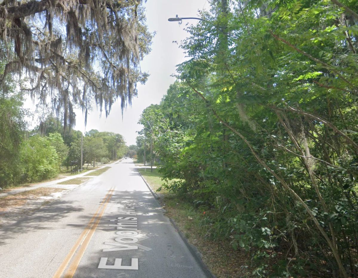 Residential, Undeveloped Lot in Deland, FL - Image 3