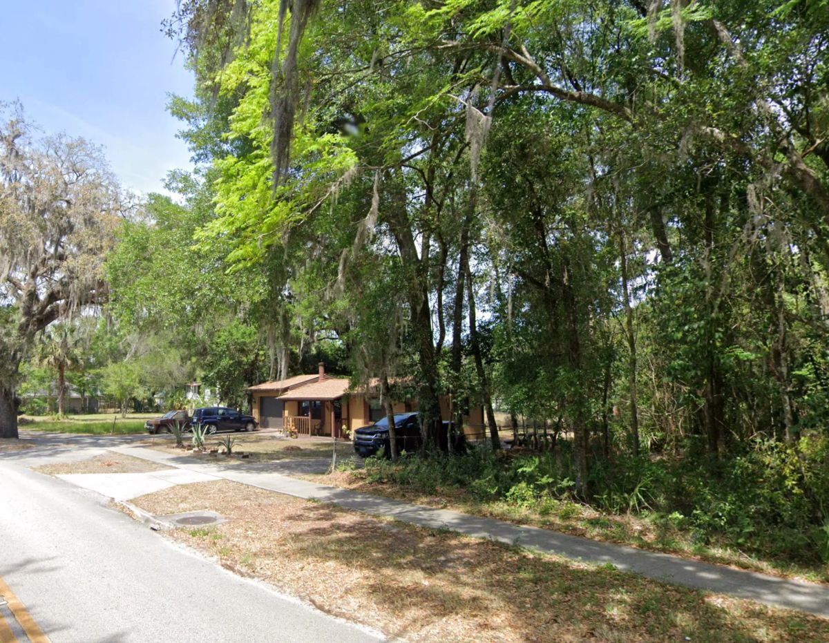 Residential, Undeveloped Lot in Deland, FL - Image 4
